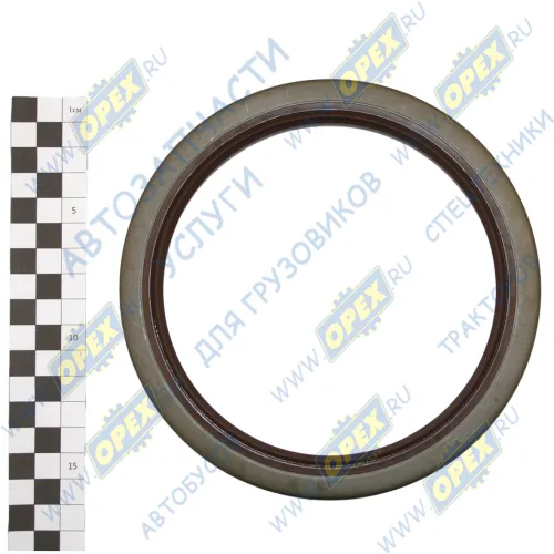 17234 Сальник (манжета) 130х160х16 ступицы задней FPM WD DC+ MAN Bus (1970-2020); 2.2-130х160х16 (500-3104038) 2-бортный Vitocom2