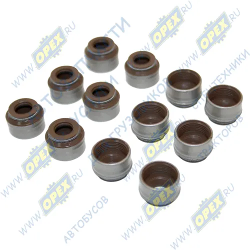 17006 Манжета клапана ф6х11х13,5; h=10 с пружиной С/И; (фторкаучук) комплект 12шт Vitocom1