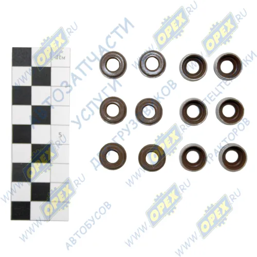 17006 Манжета клапана ф6х11х13,5; h=10 с пружиной С/И; (фторкаучук) комплект 12шт Vitocom2