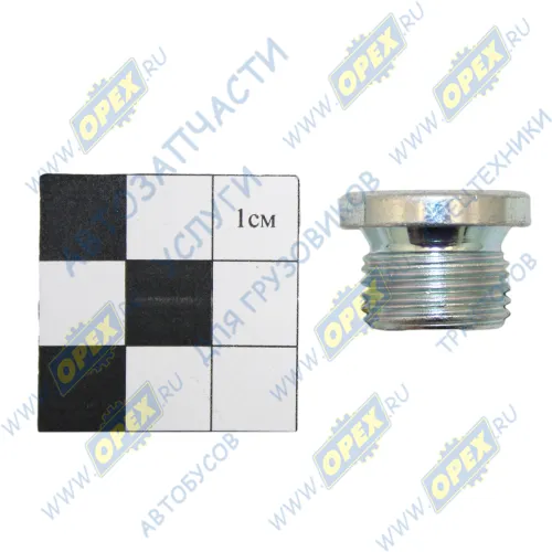 0636.100.791 Пробка DIN908 М18х1,5 h=16 под внутр.шестигр-к 8 ZF1