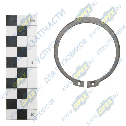 0630.501.195 Кольцо стопор. наруж. (в отвер.) с ушками ф55х62х3 ГОСТ-13942 ZF