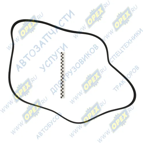 8РК-2166 Ремень поликлиновой 8PK2163\Omn Setra/Scania 144 Mtr. DSC14/13. DSC14/15. DSC11/79 SCANIA F-, K-, N Bus (2004-2021) АВТОМАГНАТ1