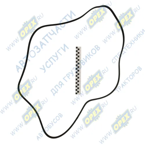 6PK2120 Ремень поликлиновой 6РК2120 УАЗ-3163,Патриот (дв.ЗМЗ-409) Евро-4 с кондиционером MB W124,201,203 VW LT,FORD COUGAR ZETEC 2,0 98->+AC,MONDEO 1.6- АВТОМАГНАТ1