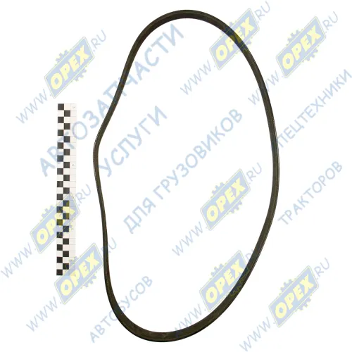 8PK1226 Ремень поликлиновой 8РК1226 для а/м КамАЗ (дв. Cummins ISBe/ISDe) MB SCANIA LCV (1970-2020), DAF LCV (1970-2020); генератора ПАЗ,Камаз (дв.Cummins) АВТОМАГНАТ1