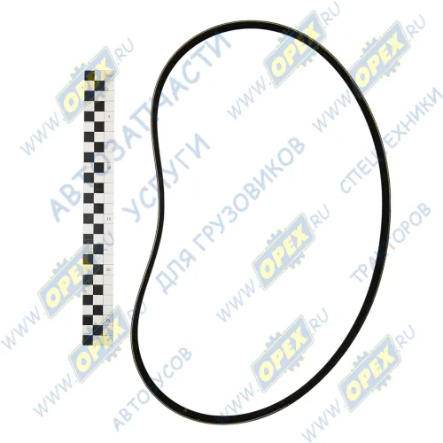 5PK1025 Ремень поликлиновой 5РК1025 ЯМЗ-650,651 привода генератора FORD Escort VII 1,8TD 2/95-2/99,MAZDA 626 V 1,9/2,0 5/97->,TOYOTA Avensis 2,0 9/97-10/00, O АВТОМАГНАТ1