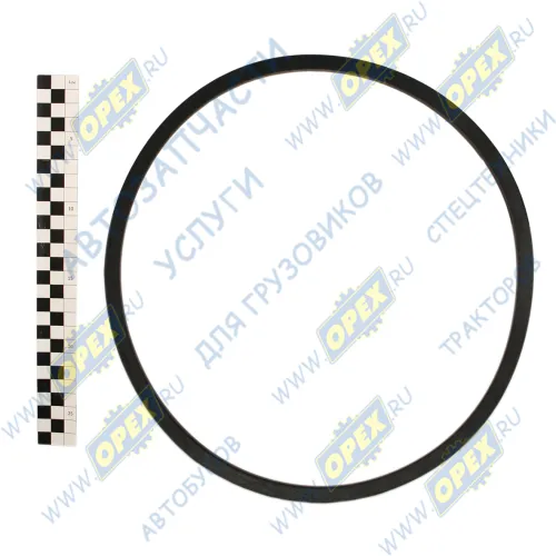 11х10х950 Ремень клиновой 11х10х950 IVECO // ALFA ROMEO // BMW // CHRYSLER // FORD // HONDA // HYUNDAI // ISUZU // JAGUAR // JEEP // KIA // MAN // MAZDA // MERC АВТОМАГНАТ1