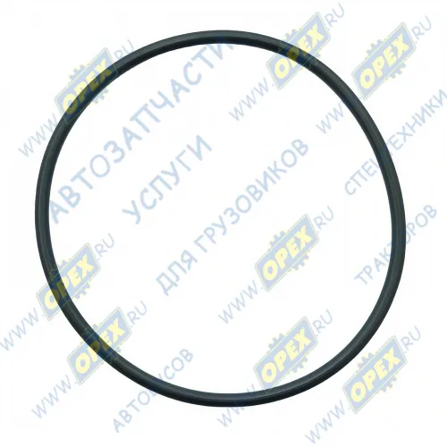 А-08-004-07-06-00 Кольцо (РТИ) круг.сеч. 060-065-25 ГОСТ-9833-73 АЗПИ