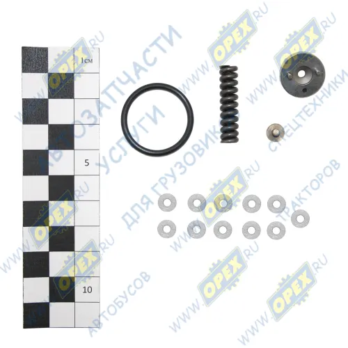 216.1112010-1 ЗИ РМК запасных частей полный для форсунки 216 ЯМЗ,КАМАЗ АЗПИ1