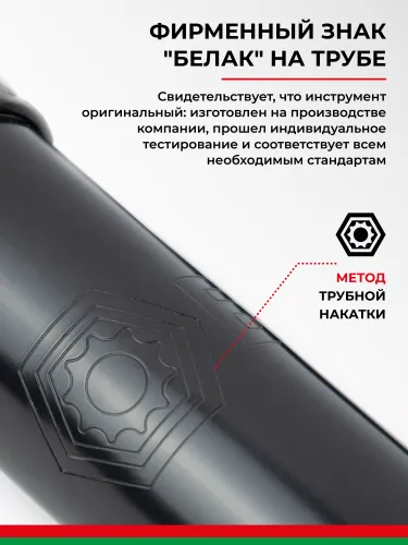 БАК.90521 Шприц смазочно-нагнетательный (рычажно-плунжерный) 300 мл БелАК2