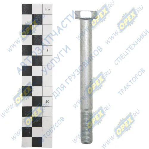 1/55418/21 Болт ГОСТ-7798 М12х120х1,25 Р=30 К=19 БелЗАН