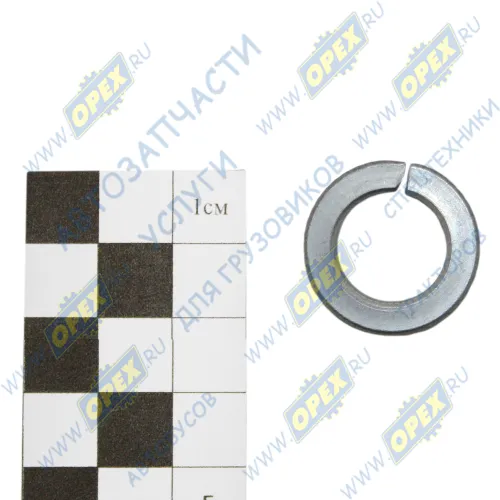 1/05171/71 Шайба пружинная (гровер) ф14х21х3 ГОСТ-6402 БелЗАН
