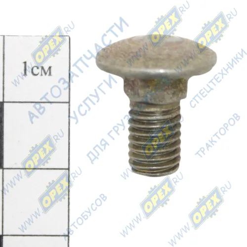 210378 Болт ГОСТ-7802 М8х17х1,25 Р=10 круглая шляпка, бортов и брызговиков КАМАЗ БелЗАН1