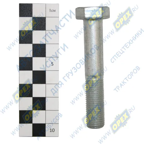 1/58621/31 Болт ГОСТ-7798 М14х80х1,5 MAN Bus (1970-2020); Р=36 К=22 пальца рессоры передней подвески БелЗАН