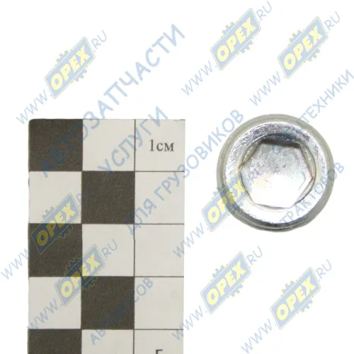 1/43253/01 Пробка DIN906 М22х1,5 коническая h=13 под внутр.шестигр.12; h=13 ОСТ 2С98-3-73 БелЗАН1