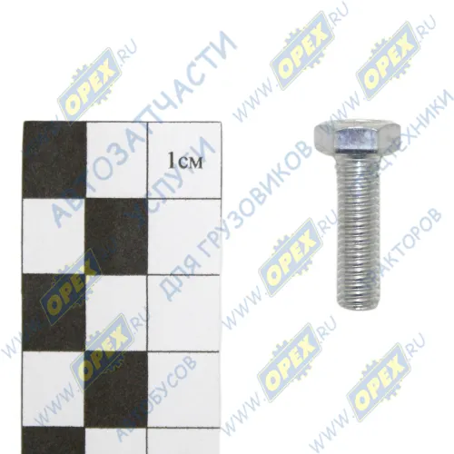 1/09024/21 Болт ГОСТ-7798 М6х20х1; Р=20 К=10/11 БелЗАН