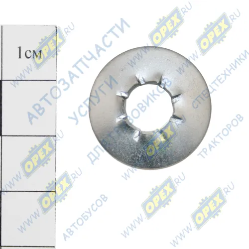 1/25984/71 Шайба с внутр. зубьями 8х22х1,2 h=3,3 ГОСТ10462-81 БелЗАН1