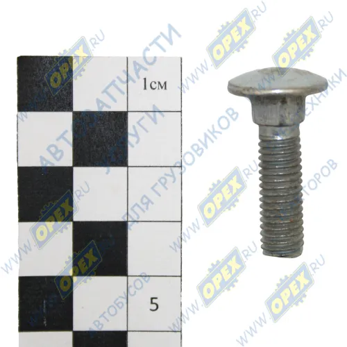 210381-009 Болт ГОСТ-7802 М8х30х1,25 Р=23 БелЗАН1