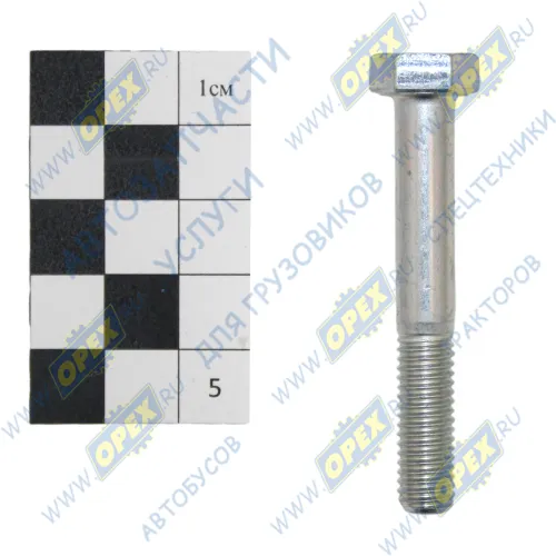 1/60443/21 Болт ГОСТ-7798 М8х55х1,25; Р=24 К=12/13 БелЗАН
