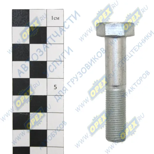 1/55410/21 Болт ГОСТ-7798 М12х60х1,25 БелЗАН