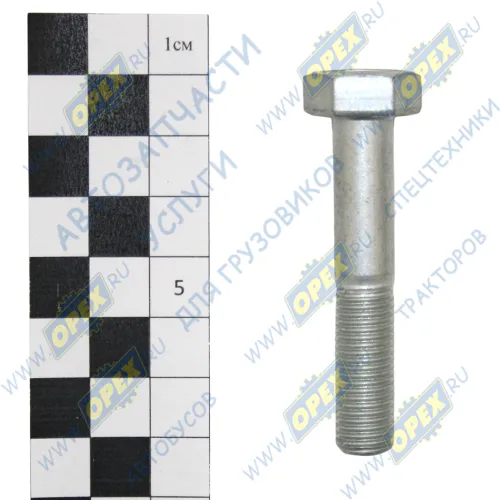1/58887/21 Болт ГОСТ-7798 М10х55х1,25 Р=28 К=16/17 БелЗАН