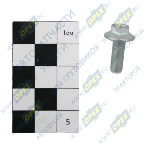 1/38364/21 Болт DIN6921 М6х16х1 Р=14 К=10 (кл.проч. 8.8 с цилиндр. концом); К=8/9 (кл.проч. 8.8 с цилиндр. концом) БелЗАН