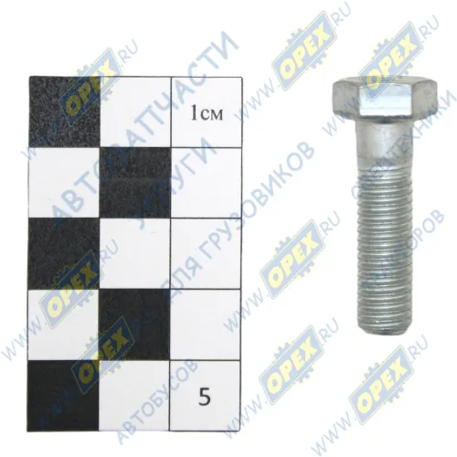 1/60438/21 Болт ГОСТ-7798 М8х30х1,25; Р=22 К=12/13 крышки фильтра грубой очистки топлива БелЗАН
