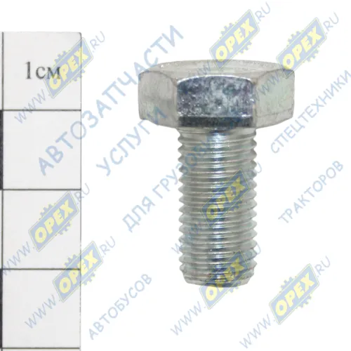 1/59705/21 Болт ГОСТ-7798 М10x20х1,25; Р=19 К=17 БелЗАН