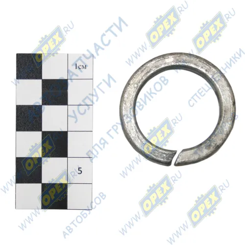 252165 Шайба пружинная (гровер) ф30х44,3х7 ГОСТ 6402 РШ БелЗАН