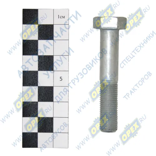 1/55411/21 Болт ГОСТ-7798 М12х65х1,25; Р=30 К=19 БелЗАН