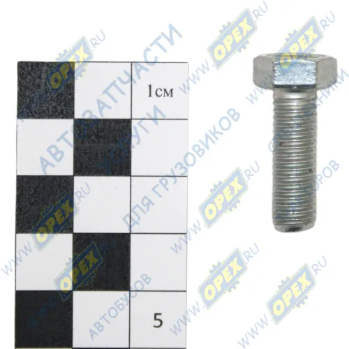 1/60436/21 Болт ГОСТ-7798 М8х25х1,25 BPW (1982-2020), MAN LCV (1970-2020), MB Bus (1970-2020), SAUER ACHSEN (1970-2020), TRAILOR (1970-2020) БелЗАН
