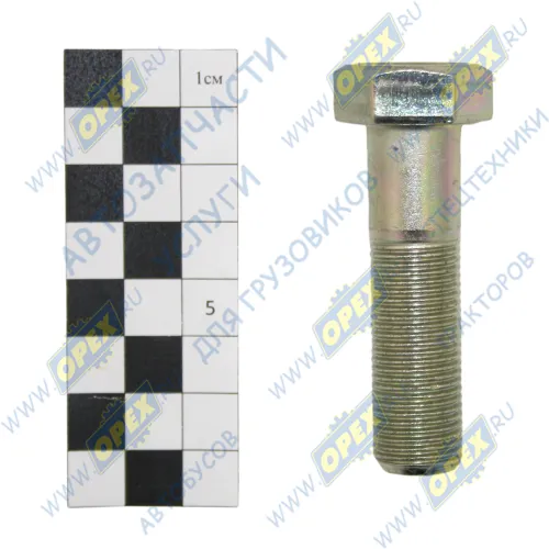 1/59811/21 Болт ГОСТ-7798 М16х60х1,5 Р=40 К=22-24 БелЗАН