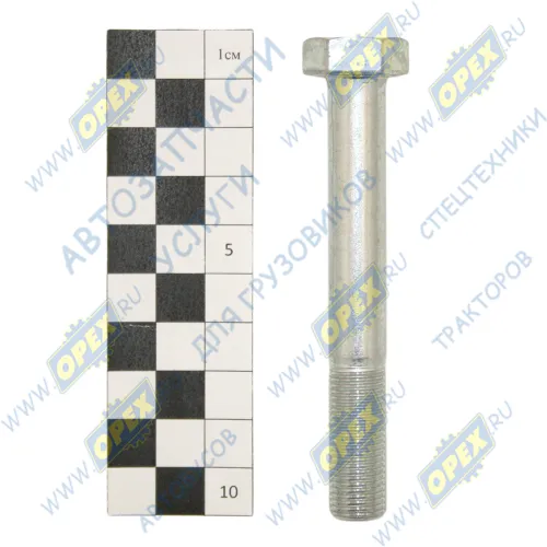 1/55415/319 Болт ГОСТ-7798 М12х90х1,25; Р=33 К=19 (проч.10,9) БелЗАН