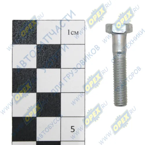 1/09028/218 Болт ГОСТ-7798 М6х30х1; (201424-П29) БелЗАН