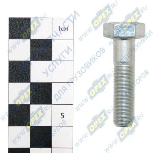 1/13070/21 Болт ГОСТ-7798 М10х40х1,25; Р=28 К=16/17 БелЗАН