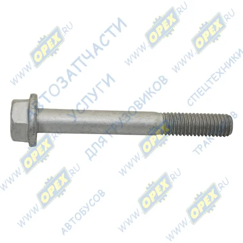 356-75091 Болт DIN6921 М8х65х1,25 P=25 К=13 фланцевый БелЗАН1