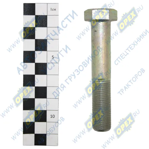 1/59815/21 Болт ГОСТ-7798 М16х90х1,5 Р=40 К=22(24) MAN Bus (1970-2020) БелЗАН