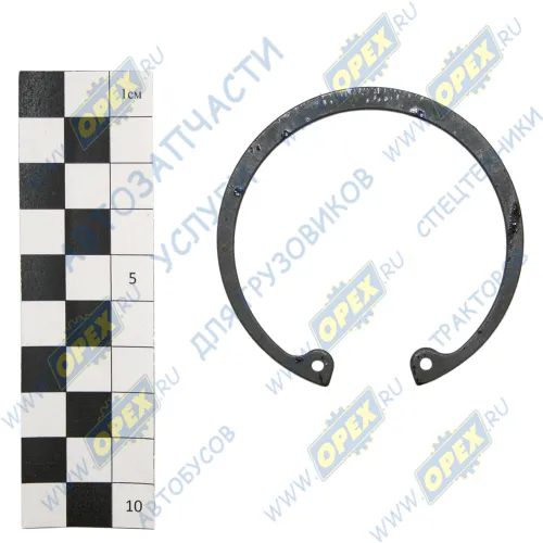 862806 Кольцо стопор. внутр. (в отвер.) с ушками ф66х58х1 крестовины рул.управления ГОСТ13943-86 БелЗАН