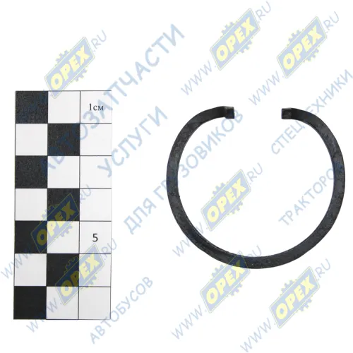 220-4202027 Кольцо стопор. внутр. (в отвер.) без ушек ф54х47х3,края загнуты на 90 град. с/и БЗТДИА1