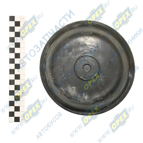 25.3519250-01 Диафрагма (мембрана) Тип 24; ф179 мм, h=45 мм BPW (1970-2020), IVECO LCV (1970-2020), MAN LCV (1970-2020), RVI LCV (1970-2020), ROR (1970-2020), SAUER БРТИ1