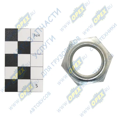 459.9524411 Гайка ГОСТ-8918 М24х1,5; (обжимная)  передней ступицы ГАЗ-3110, ГАЗель,Соболь 4х4, редуктора заднего моста ГАЗон Некст ГАЗ1