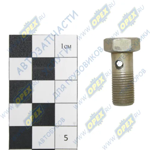 560.3548276 Болт-штуцер М10х22х1 Р=13 К=14 отв. ф5; Р=14 К=13/14 4скв.отв. ввертной (29х0х0) ГАЗ1