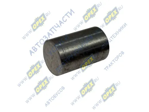 66-01-1602514 Поршень цилиндра привода сцепления (35х0х0) ГАЗ