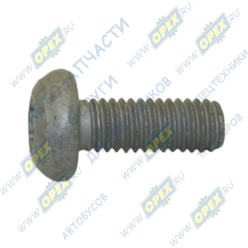 РМ40005400 Болт С/И М6х15х1 Р=15 полукругл. головка К=внутр.звезд. 6 датчика положения коленчатого вала Газель Некст дв.G21 ГАЗ1