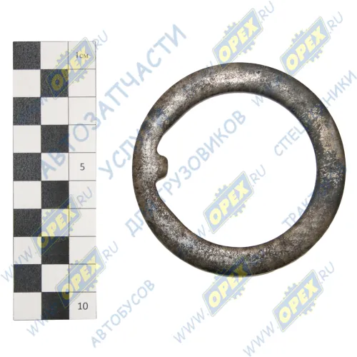 С41R92-3104030 Шайба (сталь) ф55х75х6 1вн.зуб упорная ступицы ЗМ Газель Некст 4,6т. ГАЗ