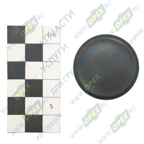 5490-8405061-10 Заглушка КАМАЗ-5490 щитка подножки СТА КАМАЗ-УВК1