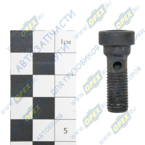 7405.1004070 Клапан форсунки охлажения поршня КамАЗ; (голый корпус) КАМАЗ1