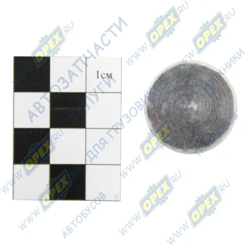 740.1003436 Заглушка (алюм.) ф25 н=14 головки блока КАМАЗ1