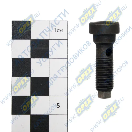 7405.1004066 Клапан форсунки охлажения поршня КамАЗ; (в сборе) КАМАЗ1