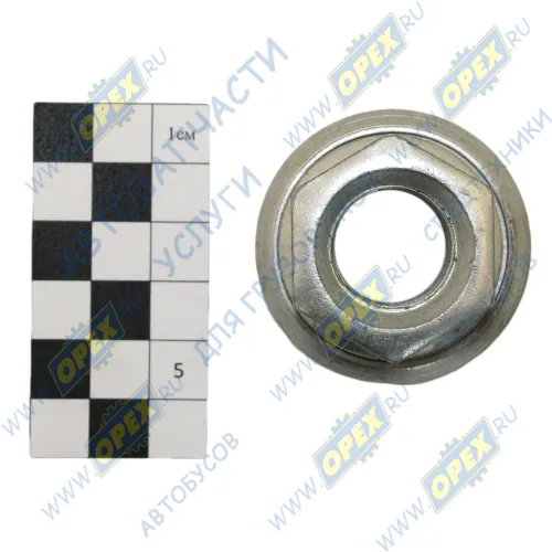 4308-3101040 Гайка ГОСТ-53819 М20х1,5 h=27 К=30/32 фланц.подвижн. колесная MAN, Volvo FL6, Камаз-4308 BPW (1982-2020), IVECO LCV (1970-2020), MAN Bus (1970-2020), КАМАЗ