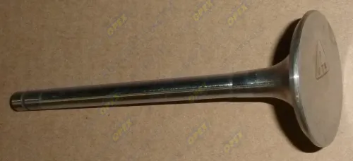 7406.1007010 Клапан впускной КАМАЗ-ЕВРО КАМАЗ